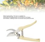 Stainless Steel Pruning Shears for Gardening Ergonomic Handheld Flower Tree Trimming Tool with Sharp Blade Soft Grip Handle for Pruning Gardeners - Image 4