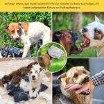 Gesichtsschutz für Hunde - Tragbares Hundekopf-Sicherheitsnetz mit Maulreißverschluss - Atmungsaktives Schutznetz für Tierbedarf Kopf bei Kletterabenteuern Jagd Teckel - Image 5
