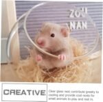 Cooling Glass Hamster Pet Glass Nest Chinchilla Toilet 15 cm Diameter Pet Supplies - Image 9