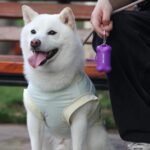 Biodegradable Dog Waste Bags with Handle and Dispenser Waste Bags for Dogs with Lavender Fragrance 108 Pieces 9 Rolls Dispenser Made of Recycled Materials Made of 50% Food Starch Leak-Proof - Image 8