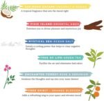 Folkulture Incense Sticks Set of 6 (120 Sticks) for Positive Aura Coconut Mango, Oriental Aqua, Green Tea, Sea Salt, Rose Geranium, Orange Blossom, Magic Hour - Image 7