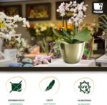 Flower Pot Shiny Plastic Planter Decorative Pot for Large and Small Plants, Set of 2 Flower Pot, Flower Pot Herb Pot, Gold, Diameter 14 cm - Image 4