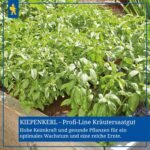 Kiepenkerl Profi-Line Rosemary Seeds, Simply Herbs, 3243 - Herb Seeds for a Very Odour- and Taste-Intensive Spice Herb with a Content for 10 Plants - Seeds - Image 7