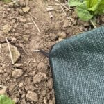 Plant Shade, Breathable Plant Tent, 31.5 x 13.4 x 13.8 inches Weather Resistant Outdoor Canopy, Gardening Supplies for Fruit, Seedlings, Vegetables, Raised Beds and Greenhouse Planting - Image 7