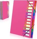 Expanding File A4, Folder System with 12 Compartments, 24 Pockets, Document Folder, Colourful Waterproof Organiser for School, Office Supplies (Rose Red) - Image 2