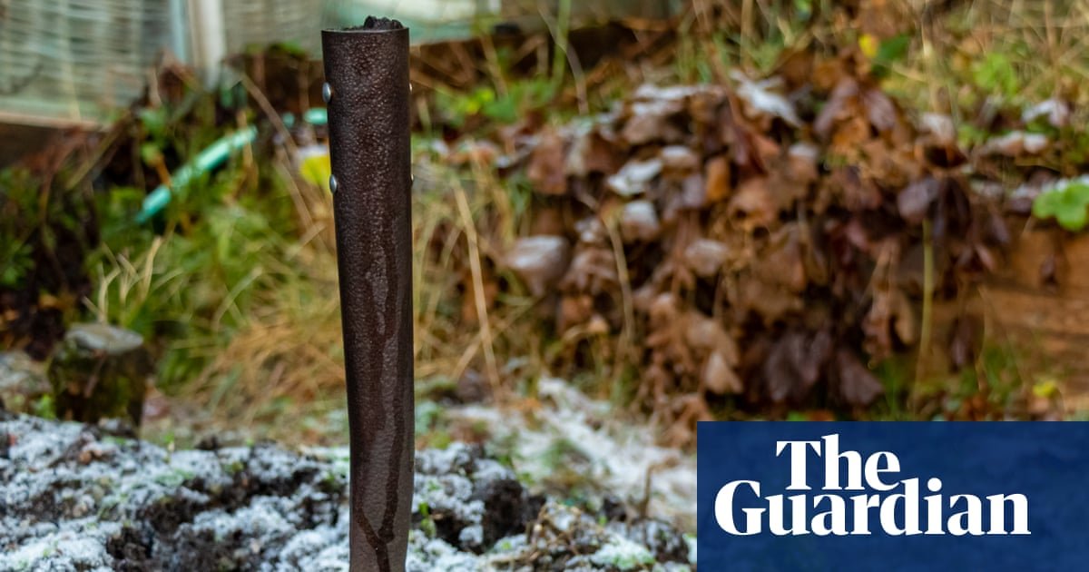 Now is the time to be bold and give your garden a reshuffle | Gardening advice