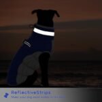 PUMYPOREITY Dog Coat, Warm, Waterproof Winter Jumper, Winter Suit, Snowsuit, for Beagles, Blue, L - Image 6