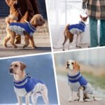 PUMYPOREITY Dog Coat, Warm, Waterproof Winter Jumper, Winter Suit, Snowsuit, for Beagles, Blue, L - Image 8