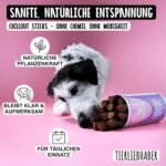 TIERLIEBHABER - Chillout Sticks 350 g (14 Sticks) Natural Support & Relaxation for Dogs - Gentle Calming Aid for Stress, Car Trips & New Year's Eve - Dog Treats & Anti-Stress Snacks - Image 5