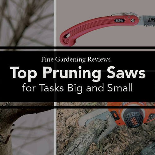 Pruning Saws that Make Maintenance Easier